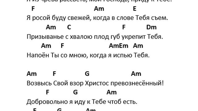 Я из чрева рассвета...