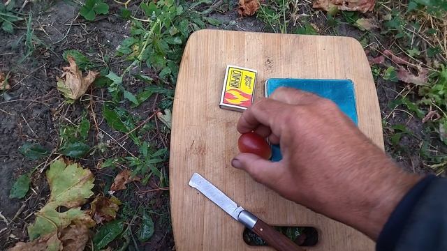 Гф КУПИДОН селекции Щенникова О. Н с очень хрустящей и сладкой ягодой.