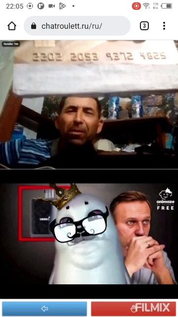 тюлень