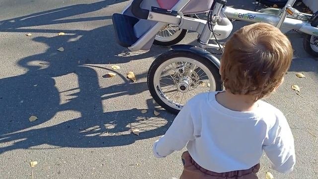 Поехали гулять в парк Альпак