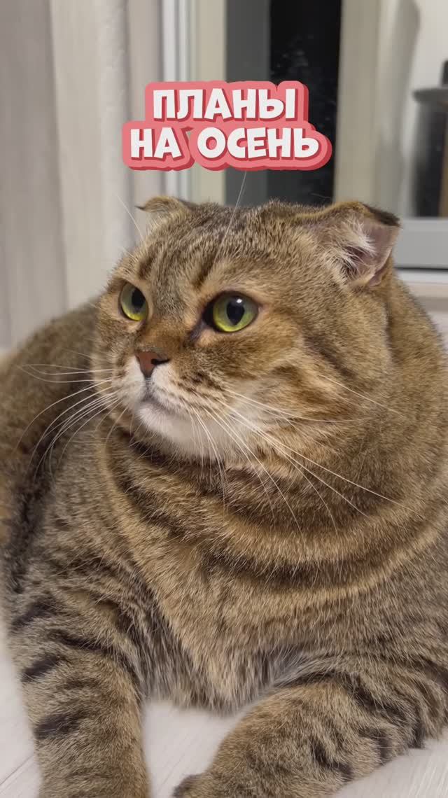 А какая цель у тебя?🙌