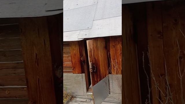 Попариться в заброшенной баньке #баня