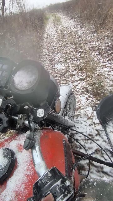 Пришла зима ❄️