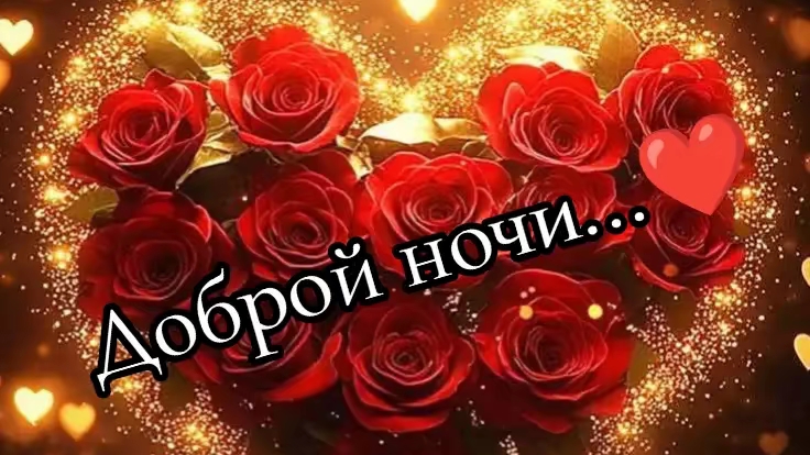 Доброго вечера и доброй ночи♥️♥️