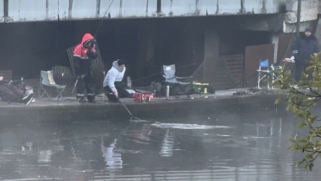 Под мостом