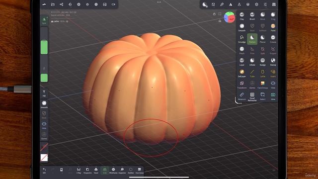 17 - Patsy the Pumpkin Radial Symmetry and the Operations Panel