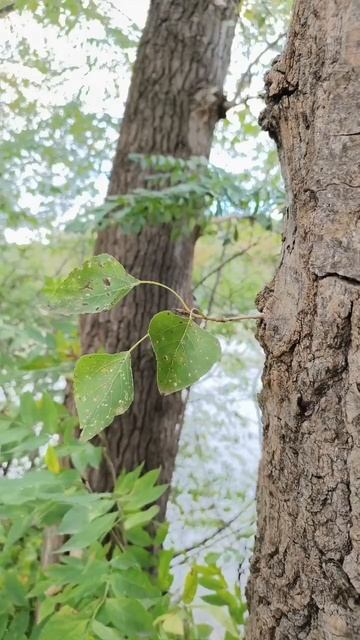 02.10.2025 #сегоднятак #природа #прырода #табиғ #自然 #natureza #natura #자연 #طبيعة #प्रकृति #nature