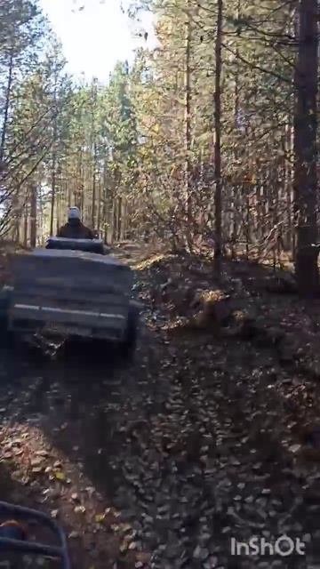 Страна чудес. 😜