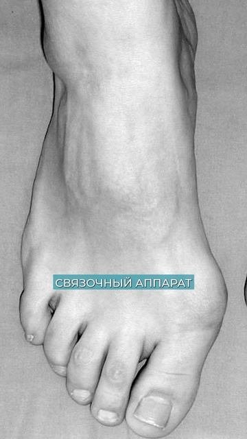 ЭТИ точки в стопе РАЗРУШАЮТ ваши суставы! #здоровье #стопа #суставы
