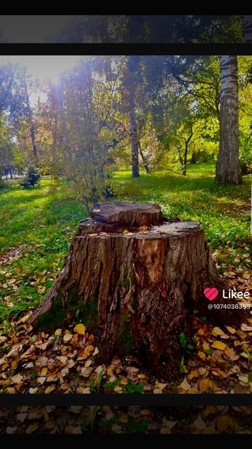 Осень пришла