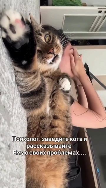 Берегите животных, заведите психолога... 😊