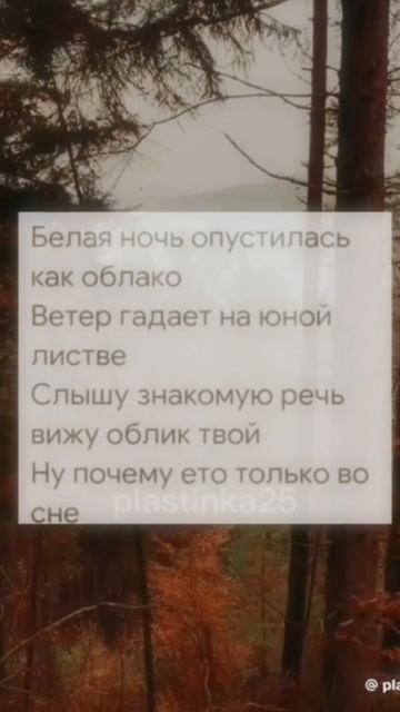 Белая ночь