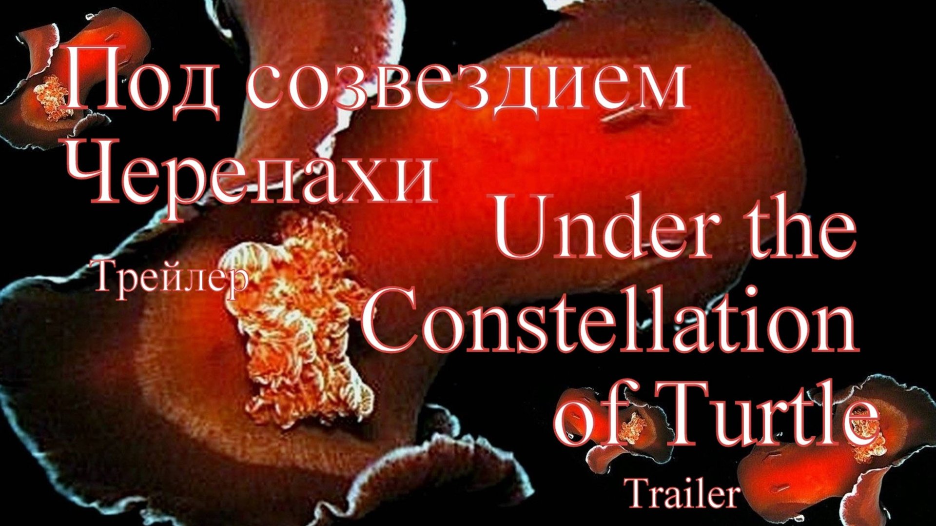 Под созвездием Черепахи. Трейлер