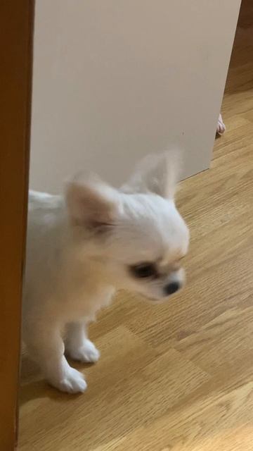 Ну такие они уже классные 🤗 а какие разговорчивые 😃