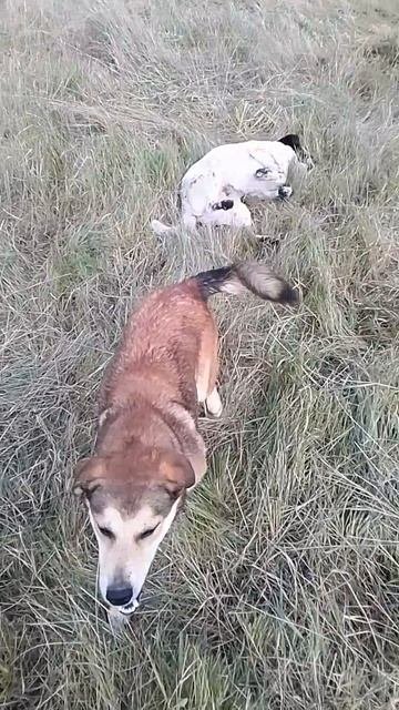 VID_20251002_102451.mp4