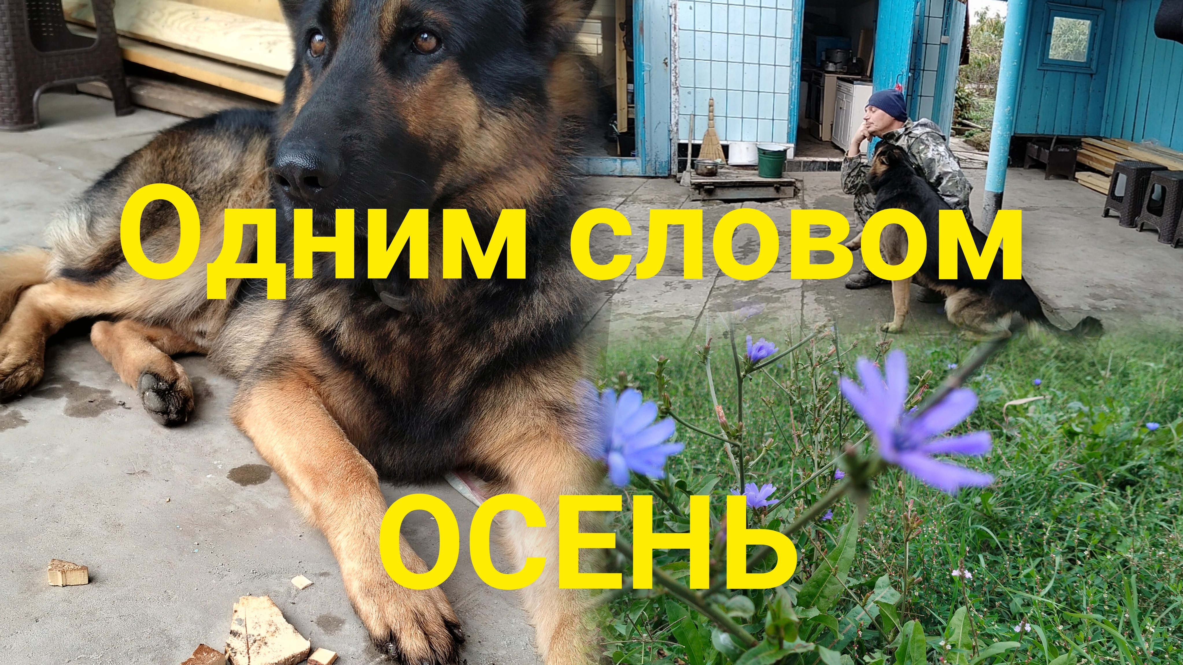 Одним словом - осень.Работы с душевой продолжаются.