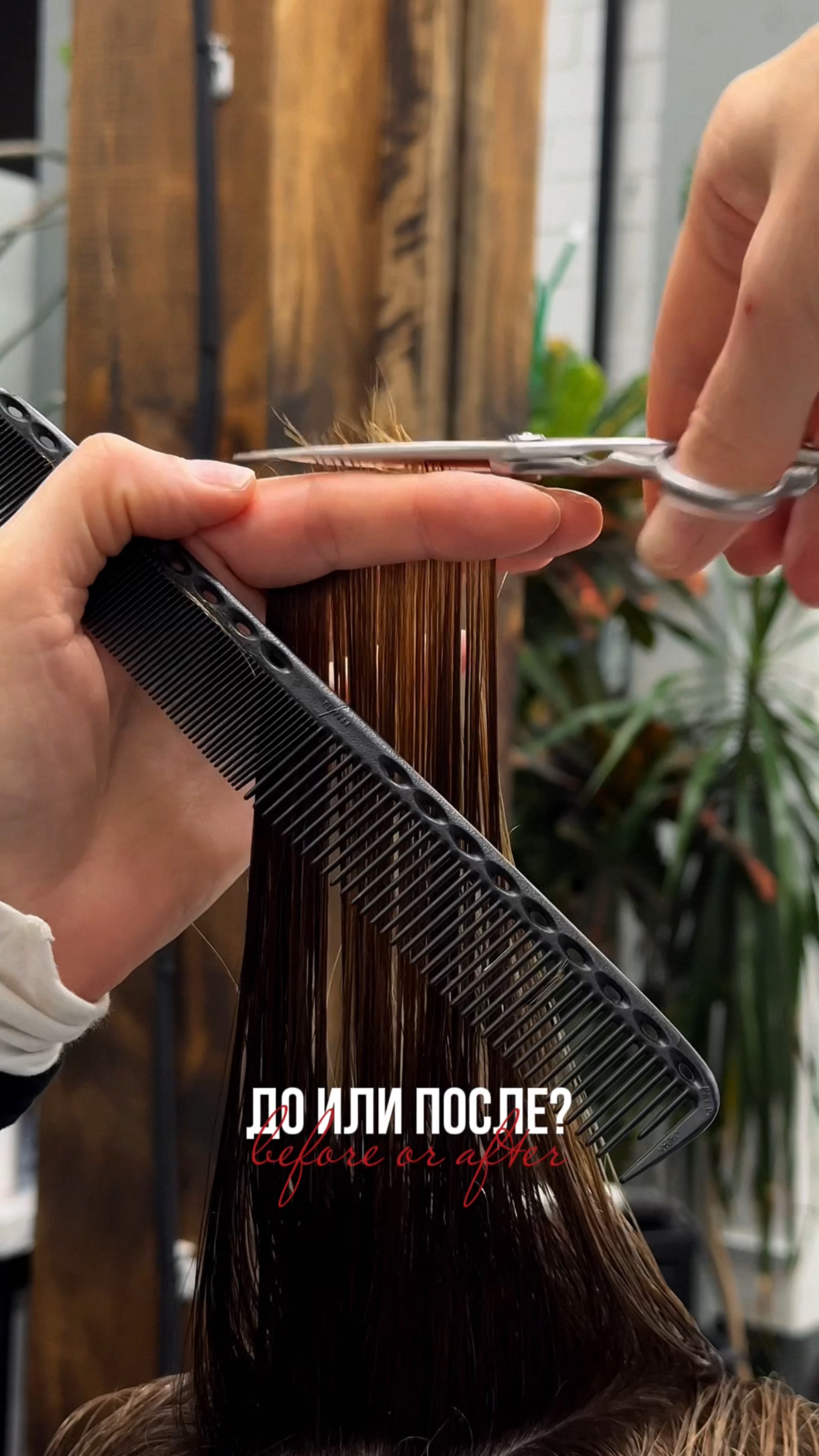 Работаю в Москве 3, 4, 9, 22 октября. Все вопросы в Телеграм @kateimage