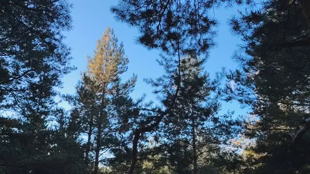 Новости из мира денег. Немного о финансовой грамотности