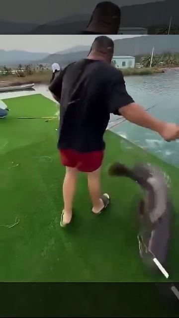 Клип @zatropheem