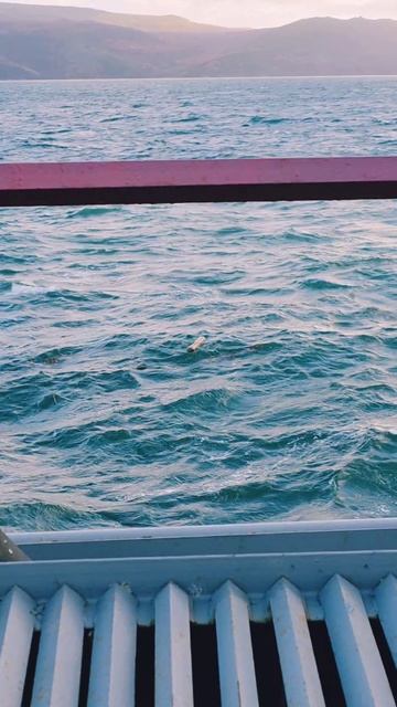 1 октября 2025 год. А вы какую энергетику ощущаете от моря?🌊🐟💙 #nastikae #работа #море #снег