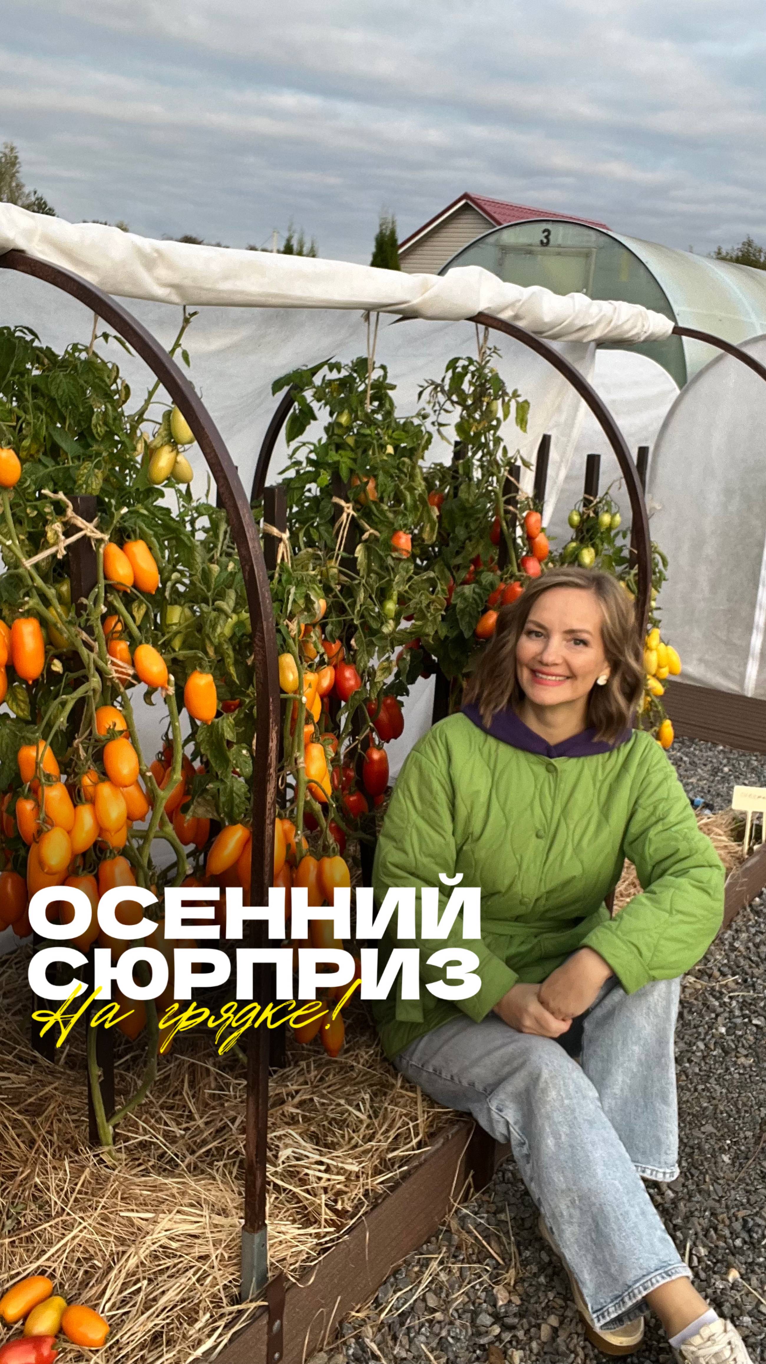 Осенний сюрприз на грядке!