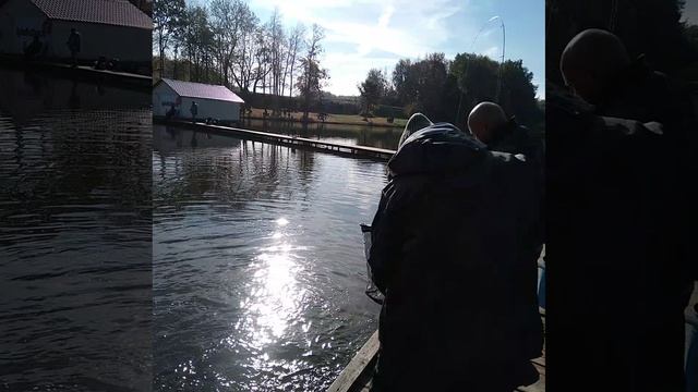 1000083760.mp4