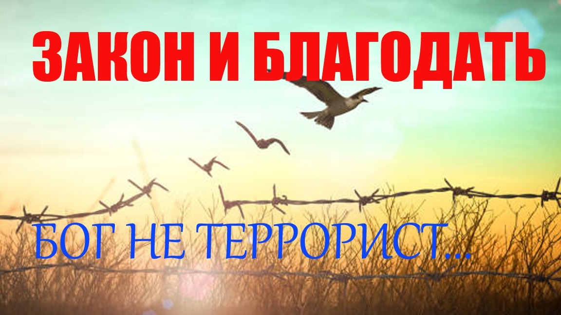 Закон и Благодать. Бог не террорист...