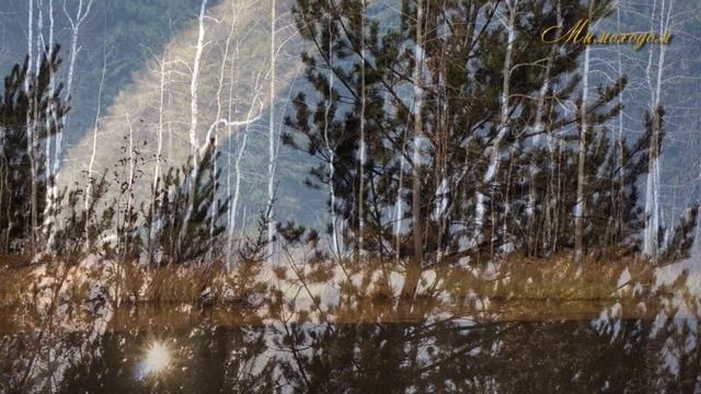 Осенняя палитра... "МИМОХОДОМ", 2 октября 2022 год. Автор проекта О. Дзиов