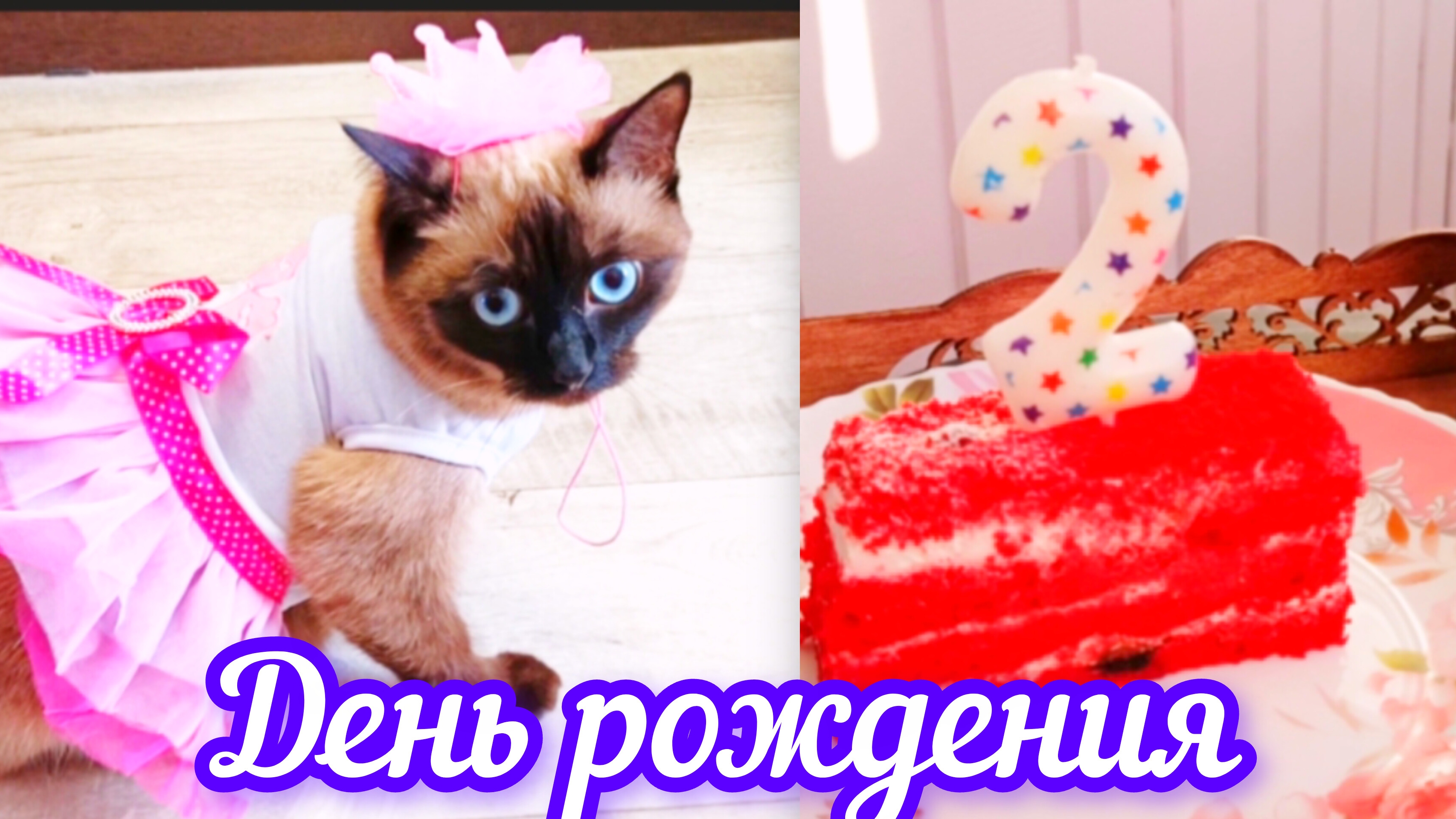 День🎂рождения🎉у🐱Ладушки 02-10-2025
