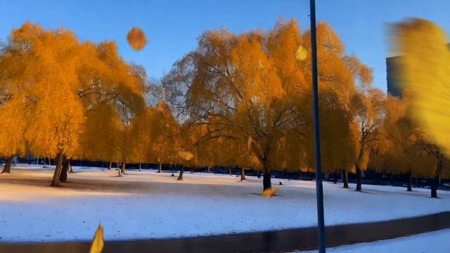 В парке. Первые заморозки - нежная музыка для релакса и медитации