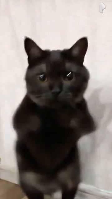 ХАХАХАХАХАХАХАХ