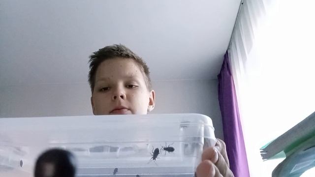 Экосистема