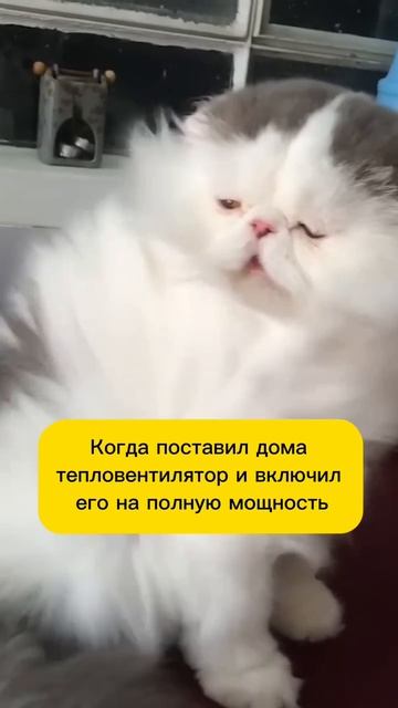 #тепловентилятор #отопление #обогрев #тепло #вентиляция #юмор #оборудование #дом #цех #склад #скгаз