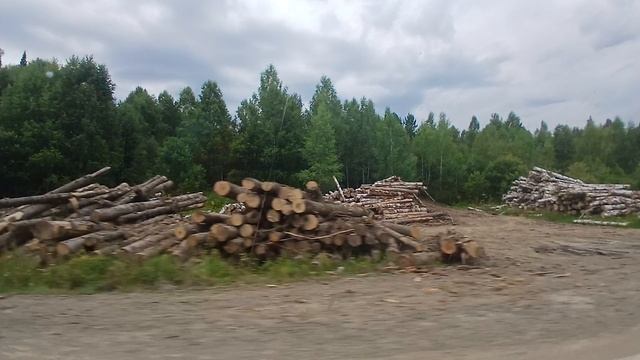 Едем в Алтайский край в Пещерку на золотые пески,на водопады