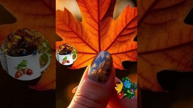 👍👍👍