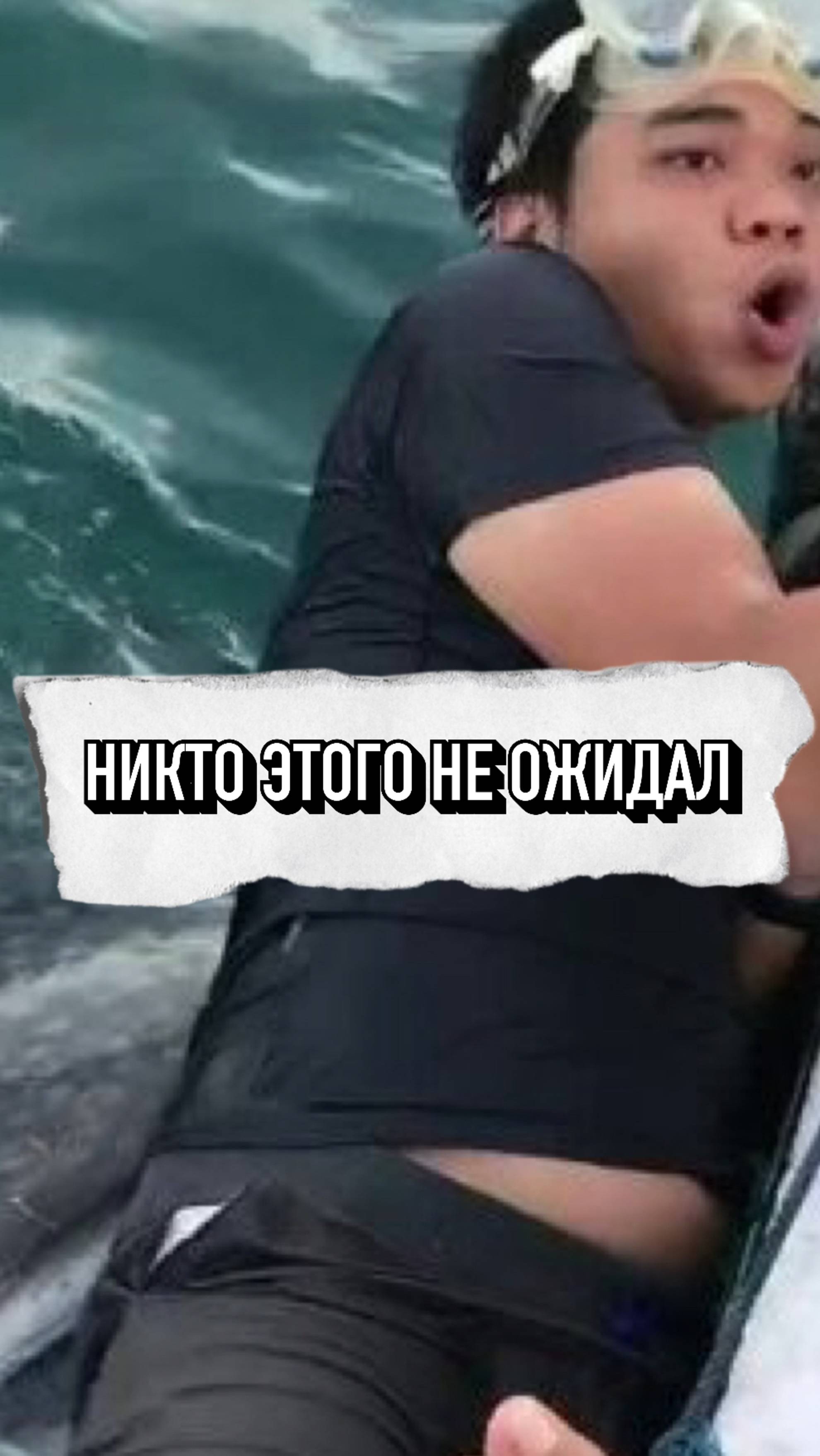 Никто Этого Не Ожидал От Акулы, Но.... 🤯 #shorts