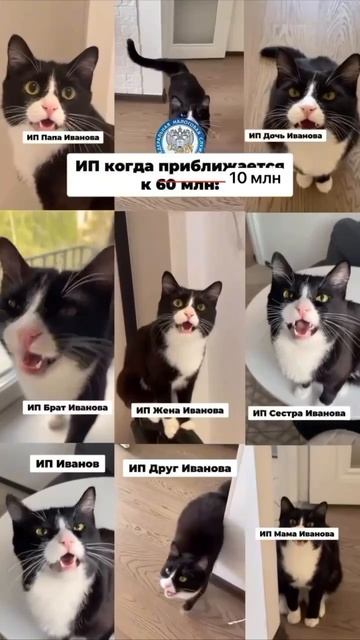 #налоги #НКРФ #НДС #налоговоезаконодательство #финансы #экономика #федеральныйбюджет #акцизы #УСН #п