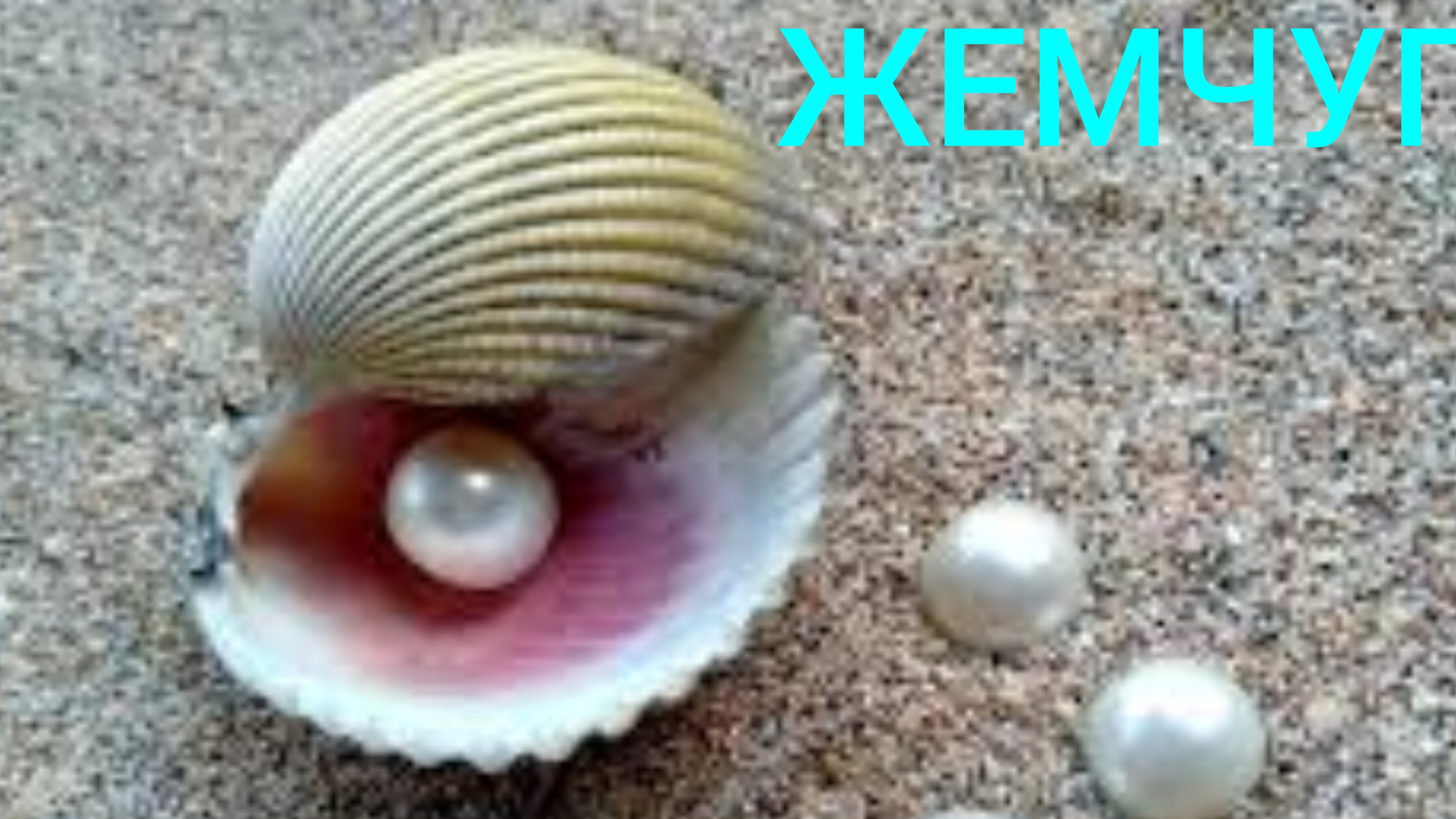 ЖЕМЧУГ