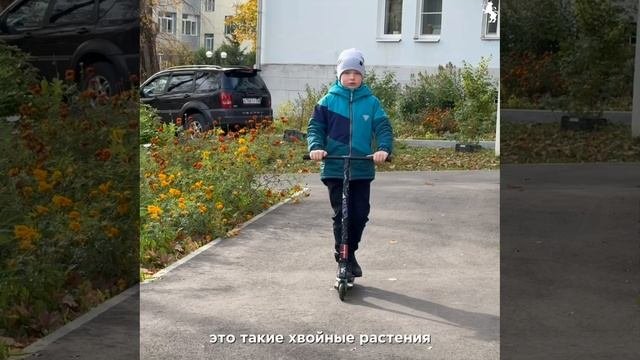 🌿 Владимир готовится к масштабному озеленению!