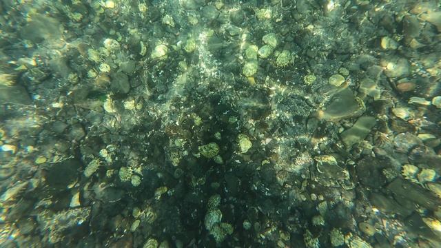 Русский остров, Велопоездка, дно устрица, Владивосток, август 2025.