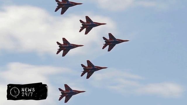 Популяция амурских тигров в приморском заповеднике сократилась почти вдвое