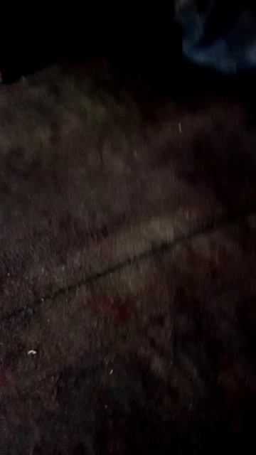 VID_20250721_155330.mp4