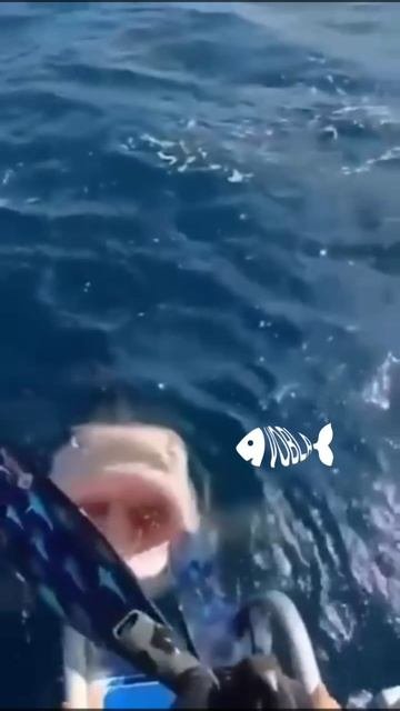 Галя! Унас отмена!..