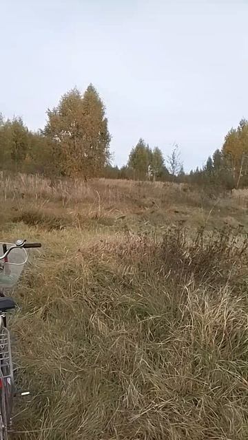 VID_20251002_103121.mp4