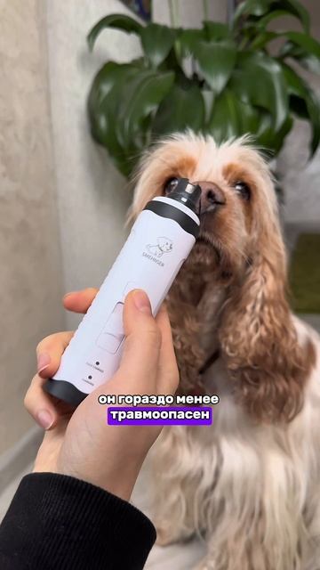 УХОД ЗА КОГТЯМИ СОБАКИ❤️