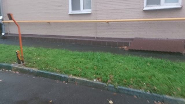 Осенний листопад в Москве
