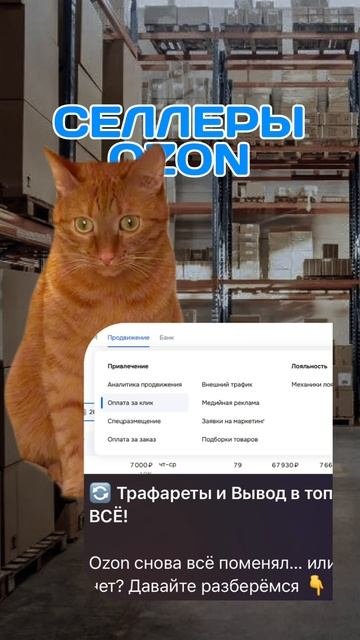 Селлеры ОЗОН, держитесь там!  #селлеры #ОЗОН #маркетплейсы