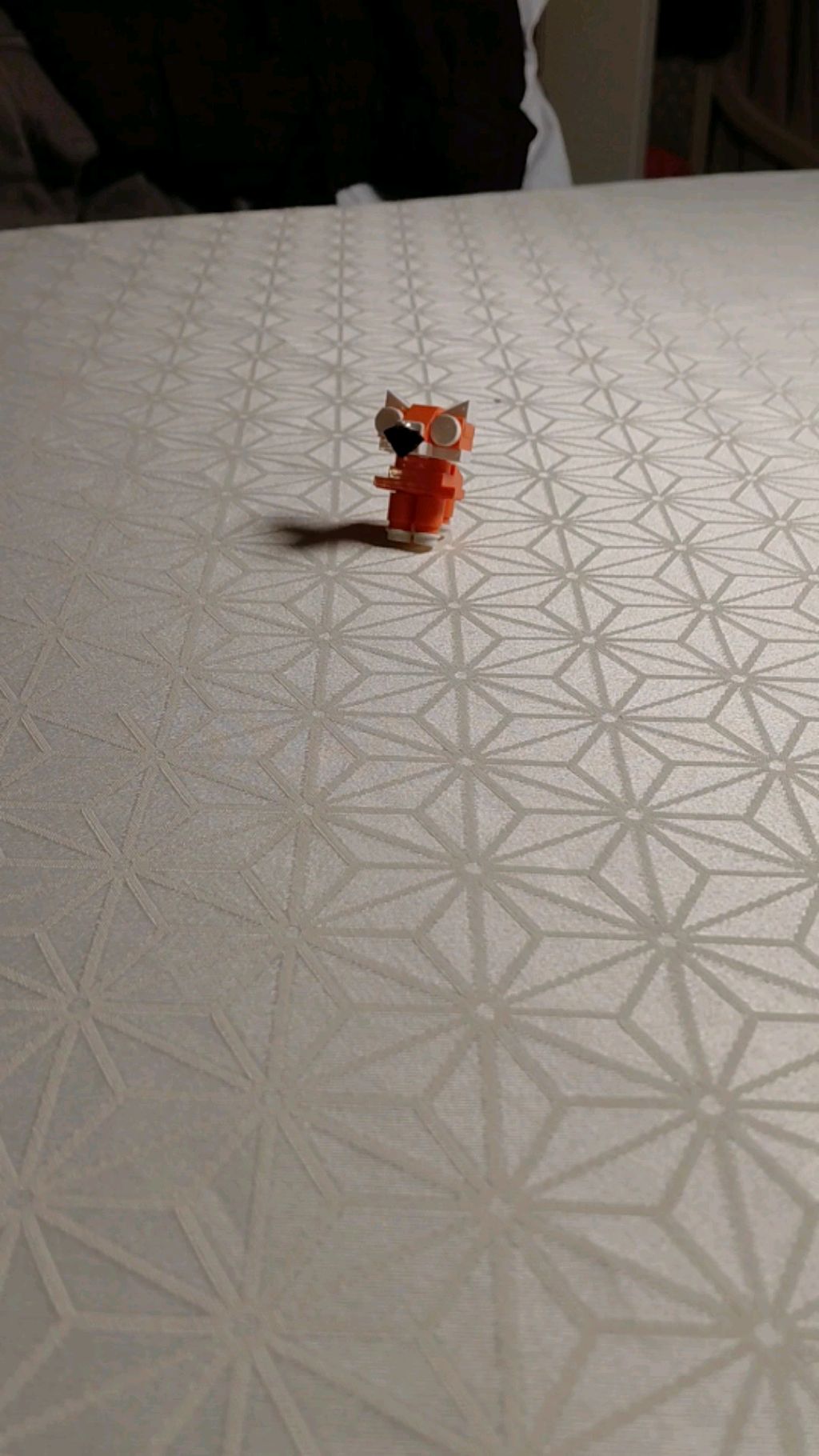 о кот
