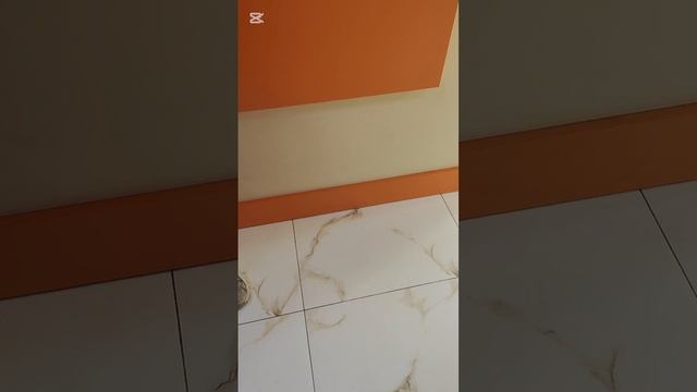 Трое животных в клинике, поехала навестить