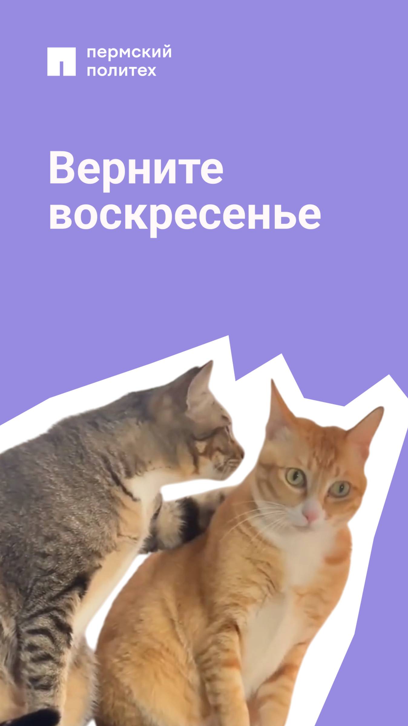 Когда расписание на понедельник хуже, чем ожидалось